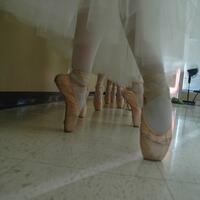 Pointe Shoes